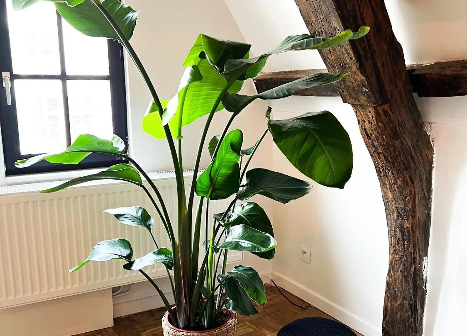 Nammos Home'S Antwerp Apartment